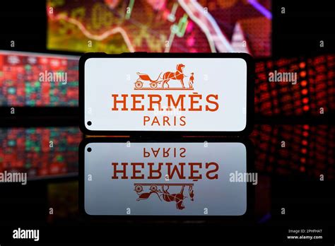 hermes crise 2008 2009
